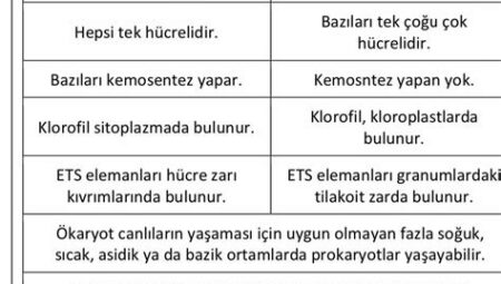 Nemlendirme ve Hidratasyon Arasındaki Farklar